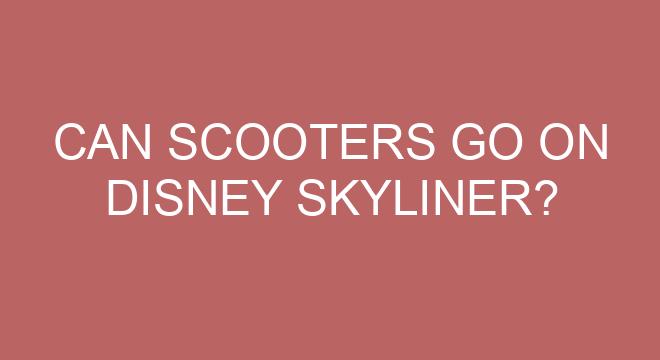 can-scooters-go-on-disney-skyliner