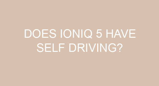 ioniq 5 self parking