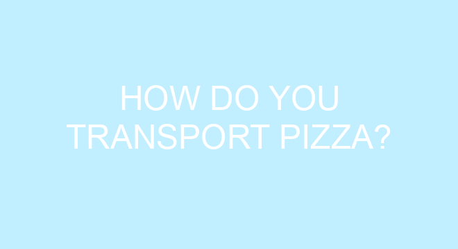 how-do-you-transport-pizza