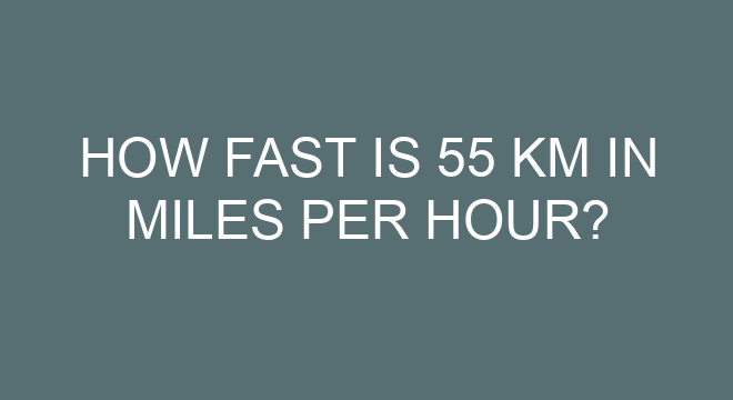 how-fast-is-55-km-in-miles-per-hour