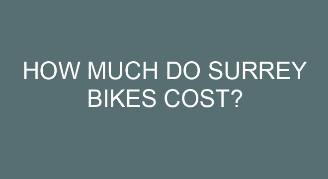 How Much Do Surrey Bikes Cost 