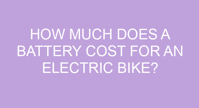 how-much-does-a-battery-cost-for-an-electric-bike