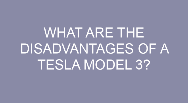 What Are The Disadvantages Of A Tesla Model 3?