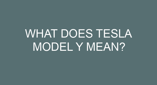 What Does Tesla Model Y Mean?