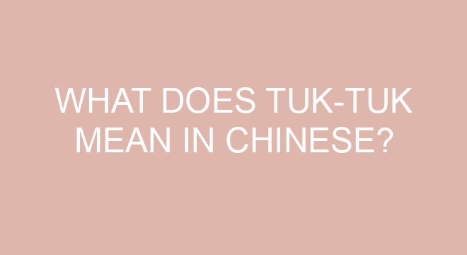 what-does-tuk-tuk-mean-in-chinese