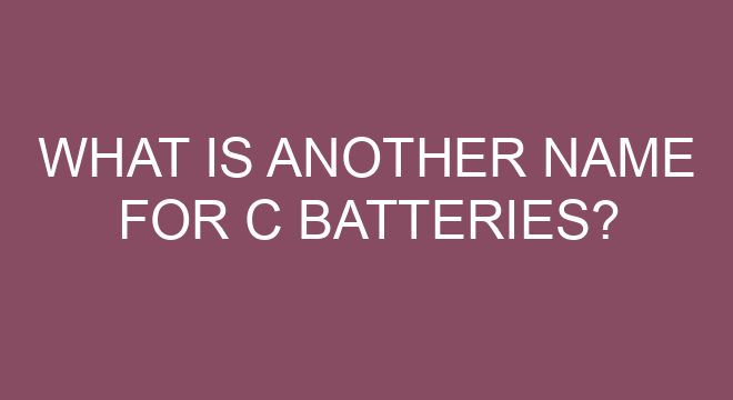 What Is Another Name For C Batteries?