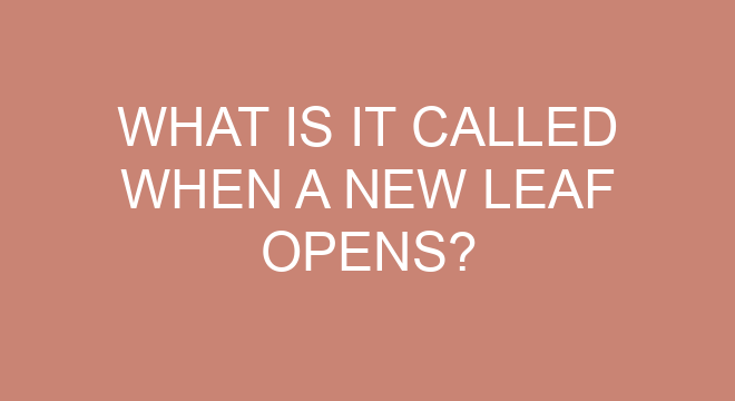 what-is-it-called-when-a-new-leaf-opens