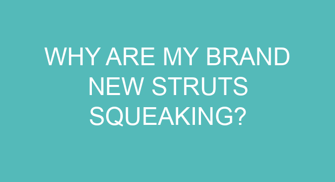 why-are-my-brand-new-struts-squeaking